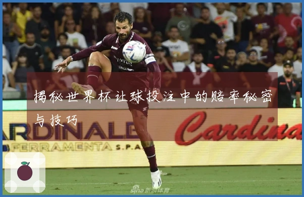 揭秘世界杯让球投注中的赔率秘密与技巧