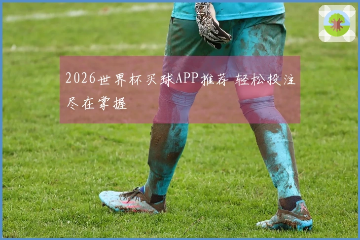 2026世界杯买球APP推荐 轻松投注尽在掌握