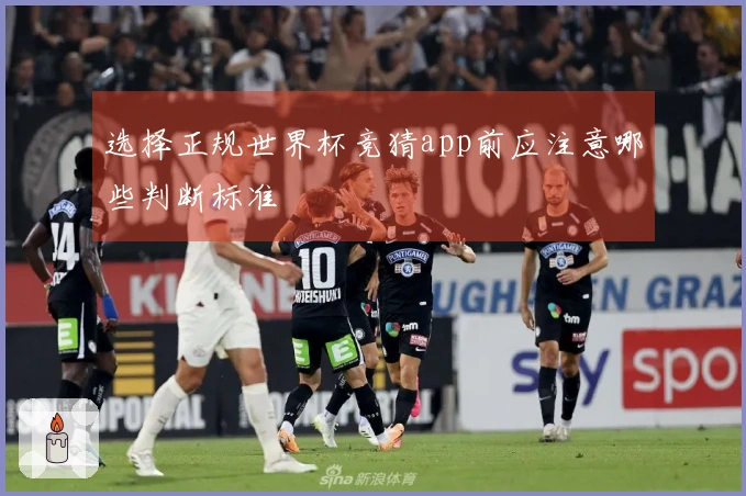 选择正规世界杯竞猜app前应注意哪些判断标准